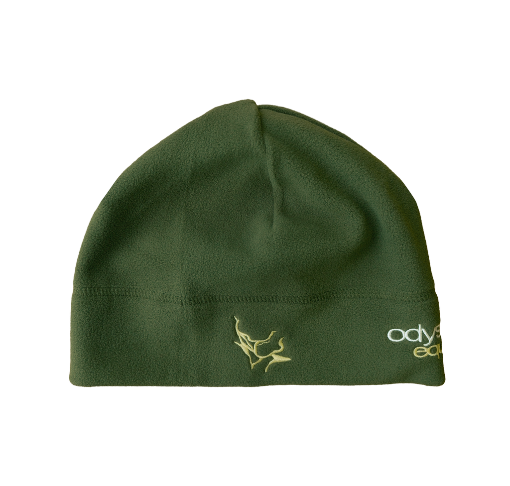 polar beanie - green